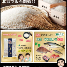 日本のお米と鮮魚を北京で販売開始！ |