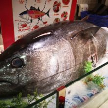 成都伊藤洋華堂 錦華店にて マグロの解体ショーをおこないました