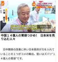 An interview with our Food Department Manager was reported in TBS “N Studio.”