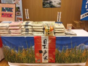 Japanese Rice