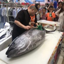 成都伊藤洋華堂 温江店にて マグロの解体ショーをおこないました