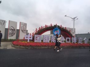 参加了第一届中国国际进口博览会（上海）