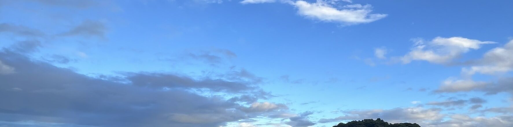 百聞は一見に如かず！in愛媛出張