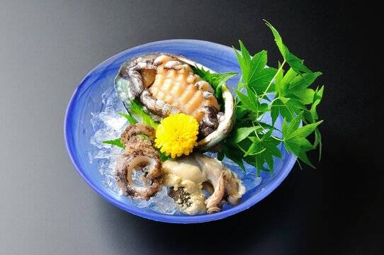 アワビ（鮑）～海の恵みを象徴する、上質な高級食材～